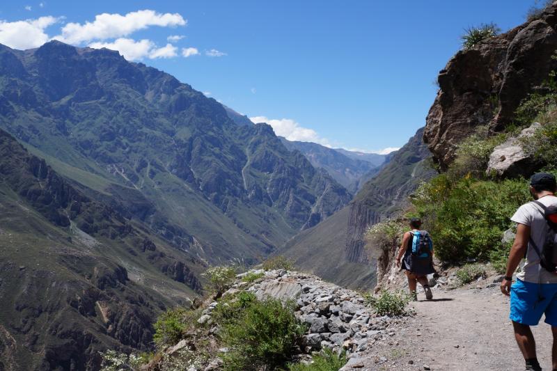 2-day-colca-canyon-trek-and-transfer-to-puno-sha-6