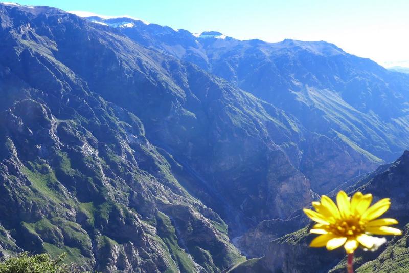 3-day-colca-canyon-trek-and-transfer-to-puno-sha-7