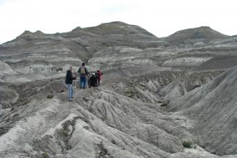Petrified Forest Day Tour