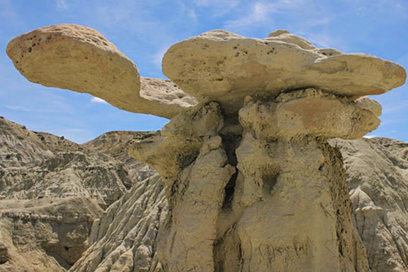 petrified-forest-day-tour-3
