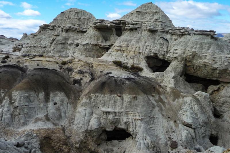 petrified-forest-day-tour-4
