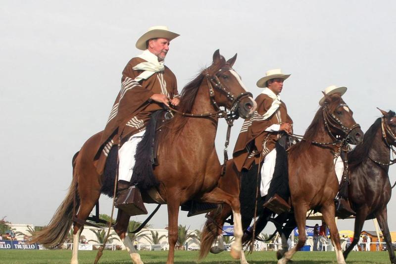 peruvian-paso-horse-marinera-with-lunch-2