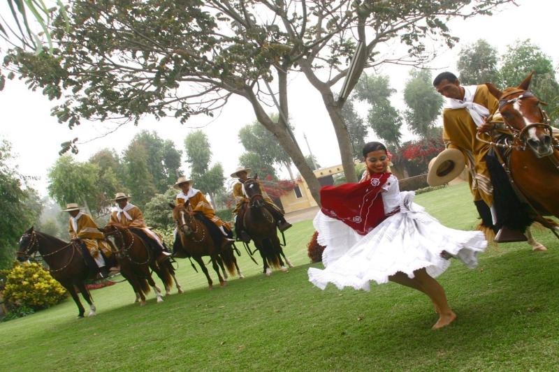 peruvian-paso-horse-marinera-with-lunch-3