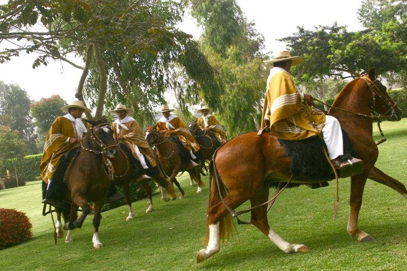 peruvian-paso-horse-marinera-with-lunch-4