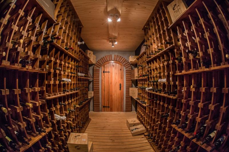 the-argentine-experience-1