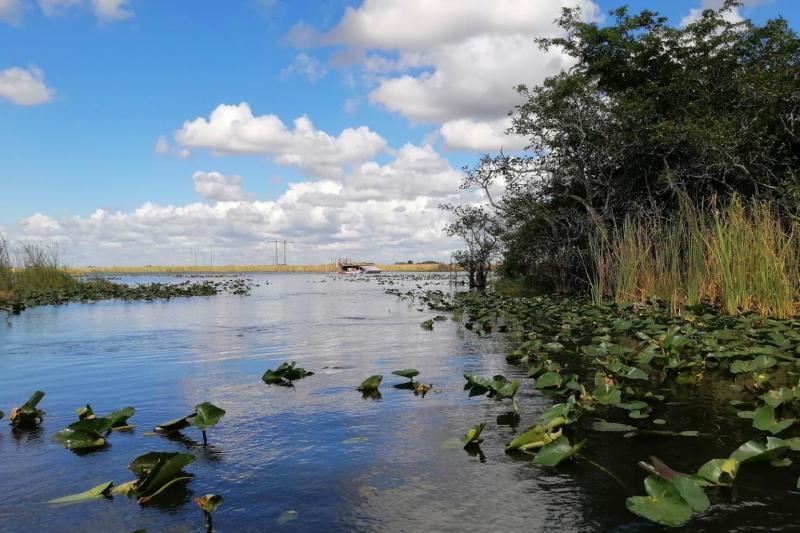 From Miami: Everglades Airboat Adventure with Transportation & Biscayne Boat Tour