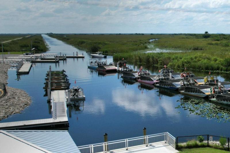 From Miami: Everglades Airboat Adventure with Transportation & Biscayne Boat Tour