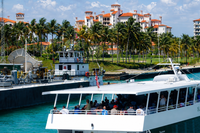 From Miami: Everglades Airboat Adventure with Transportation & Biscayne Boat Tour