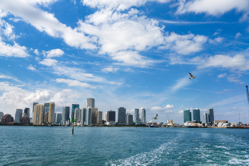 From Miami: Everglades Airboat Adventure with Transportation & Biscayne Boat Tour