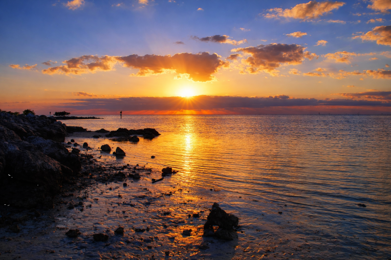 You may not want to leave after your day trip to Key West