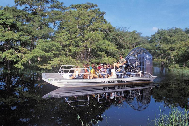 A great airboat ride on the St. Johns River