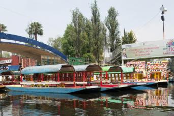 Gray Line Xochimilco Aztec Canals & National University of M&eacute;xico