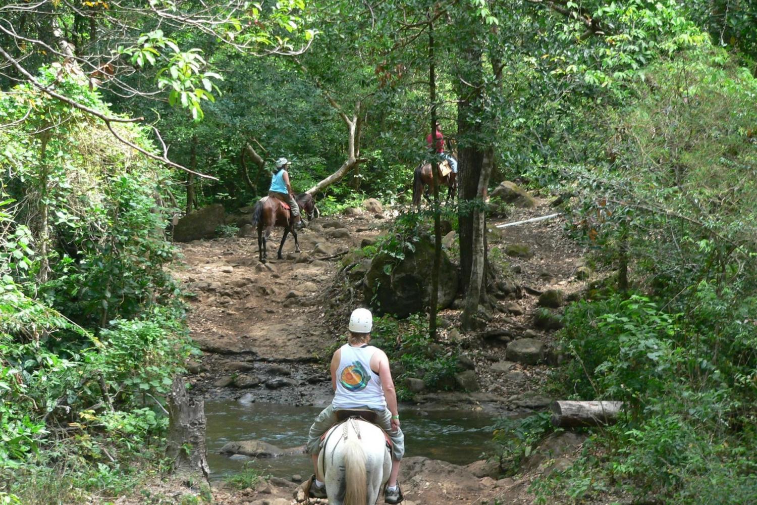 From Manuel Antonio Waterfalls Horseback Riding Manuel Antonio