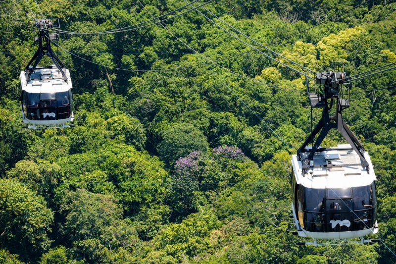 Take a ride in the famous cable cars above Tijuca Rainforest
