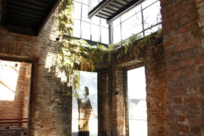 Inside Ruins Park
