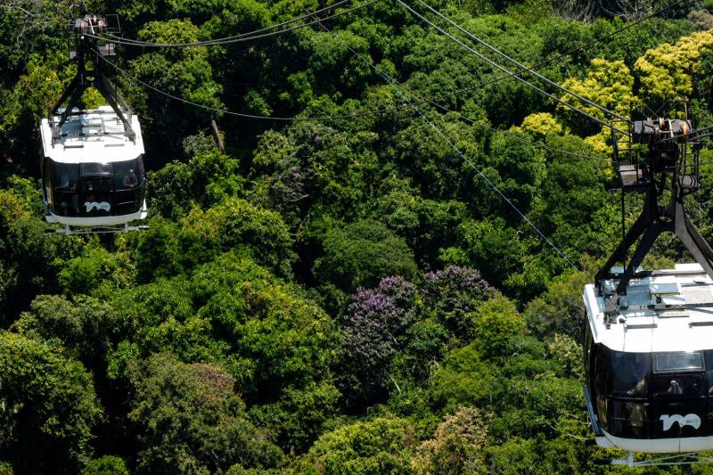 Tijuca Rainforest on the background