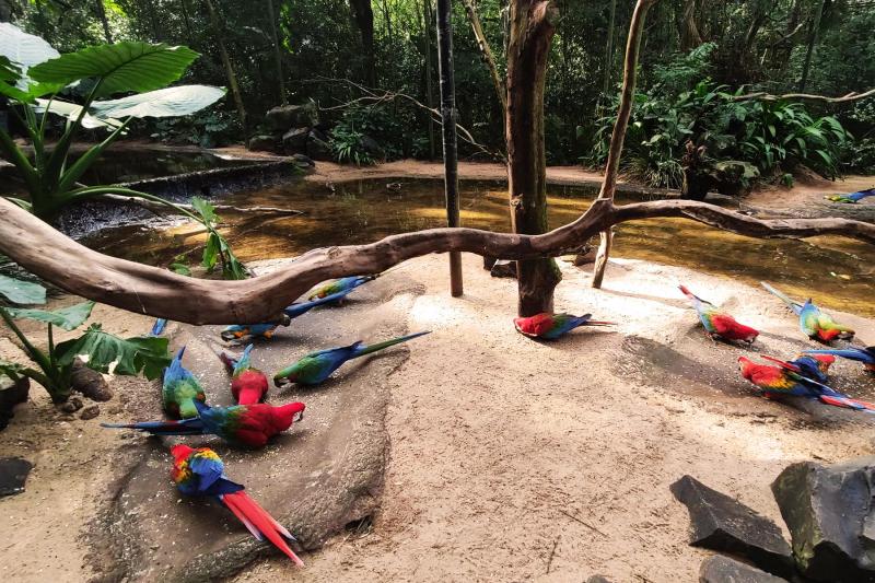 Bird Park