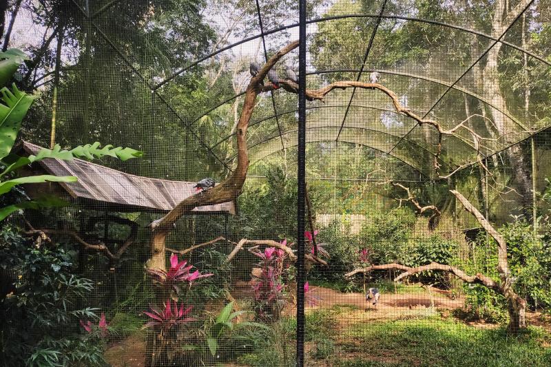 Bird Park