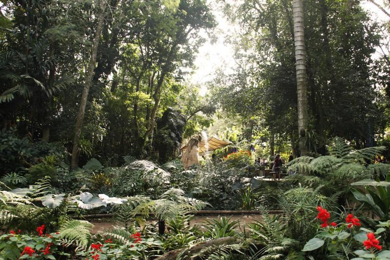 Bird Park