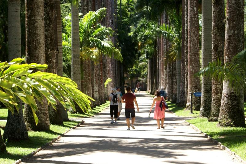 Rio de Janeiro: Botanical Garden Guided Tour with Admission Ticket