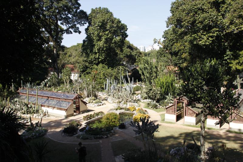 Rio de Janeiro: Botanical Garden Guided Tour with Admission Ticket