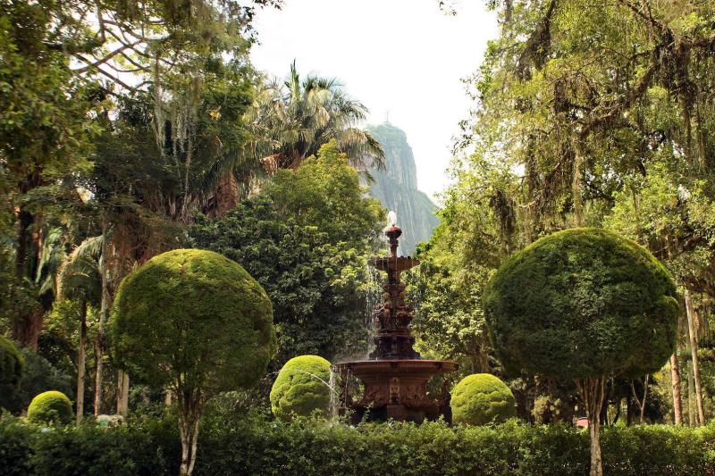 Rio de Janeiro: Botanical Garden Guided Tour with Admission Ticket