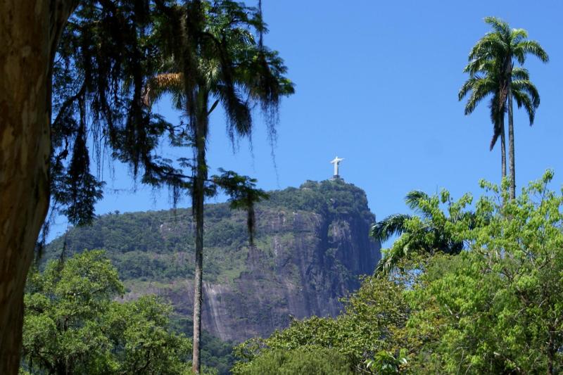 Rio de Janeiro: Botanical Garden Guided Tour with Admission Ticket