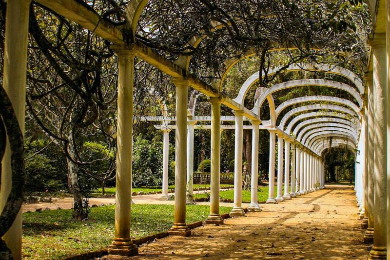 Walk through the botanical garden and get enchanted by its beauty