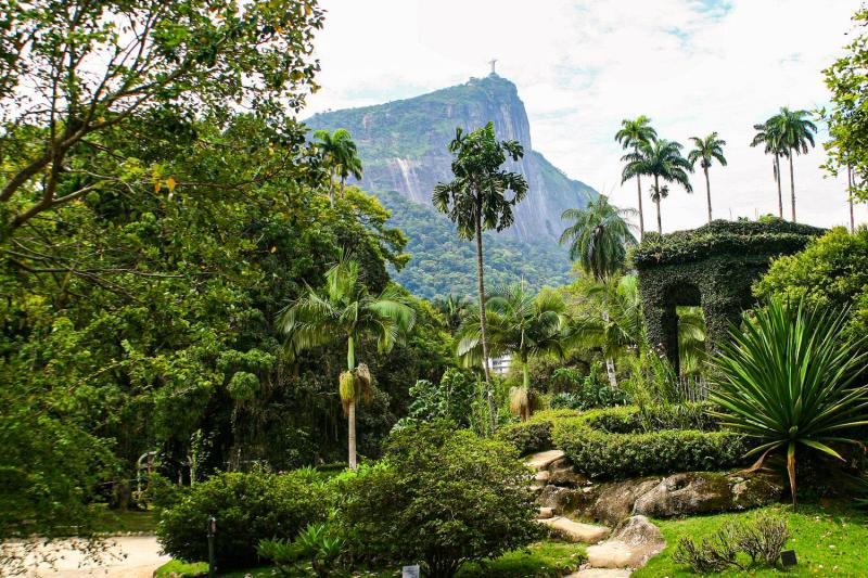 Check out the variety of plants. Images: Diogo Obadia
