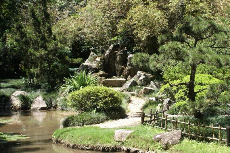 A japanese garden inside the Botanical Garden