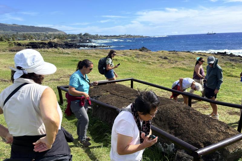 The 7 Guardians of the Pacific: Ahu Akivi Half-Day Tour