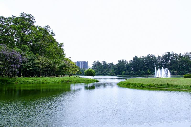 Behold the lakes, green and fresh air at the Ibirapuera Park