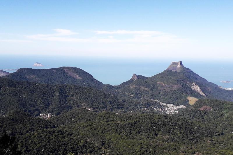 Rio de Janeiro: Tijuca Peak Hiking Adventure & Waterfall Experience