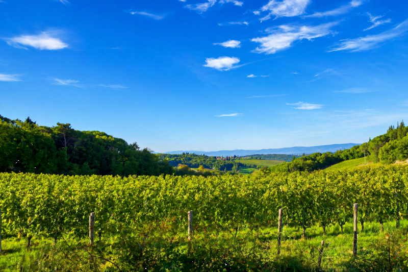 Enter the heart of real Tuscany with its medieval villages of incomparable charm