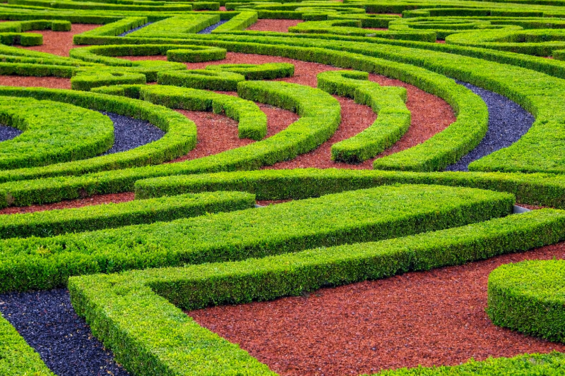 Wander the gardens that inspired Versailles