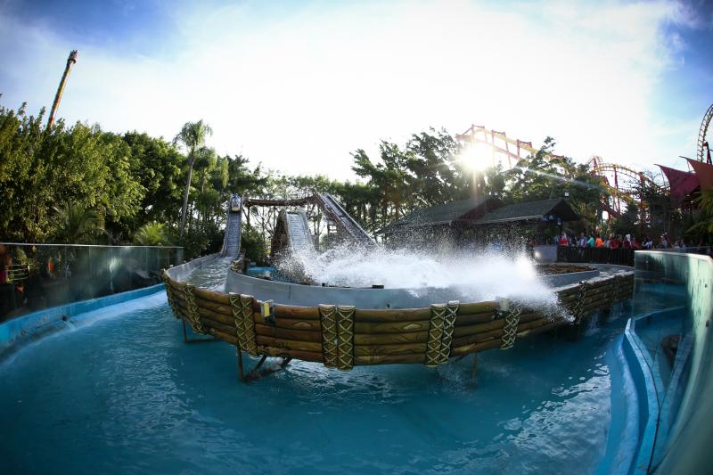 From Balneário Camboriú: Beto Carrero World Theme Park Day Trip: Full Day