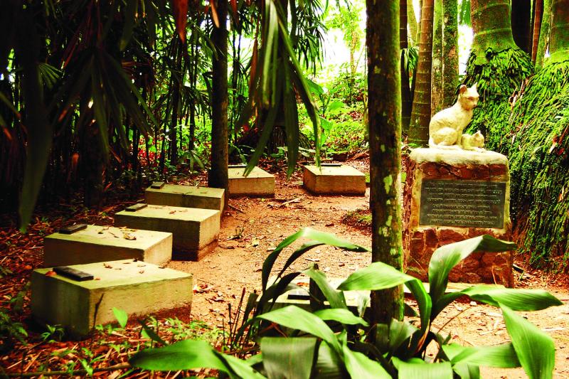 Blumenau and the German Culture City Tour