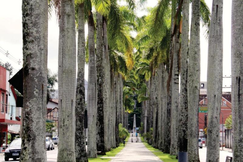 Blumenau and the German Culture City Tour