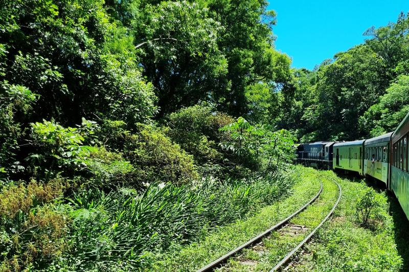 From Curitiba: Historic Morretes Train Tour & Barreado Lunch: Full Day