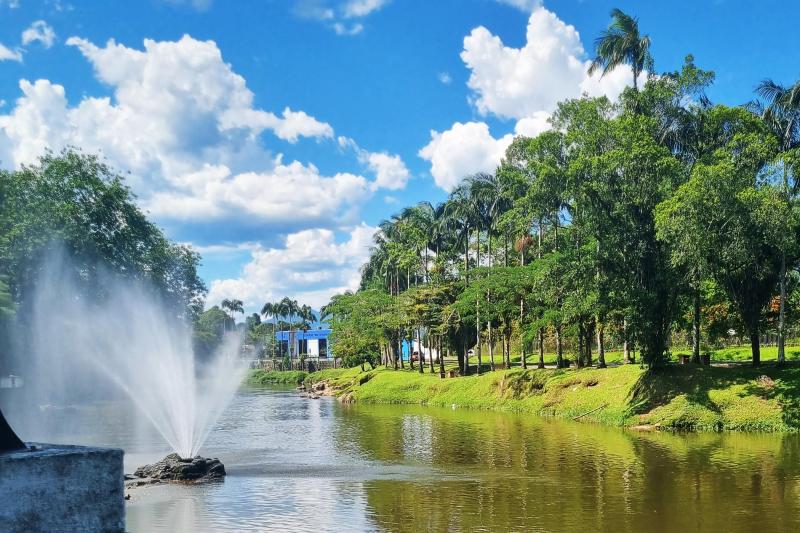 From Curitiba: Historic Morretes Train Tour & Barreado Lunch: Full Day