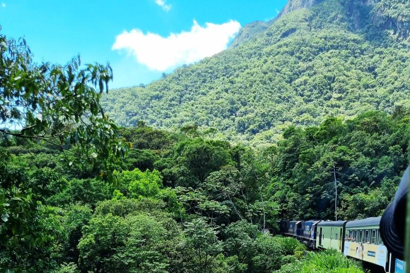 From Curitiba: Historic Morretes Train Tour & Barreado Lunch: Full Day