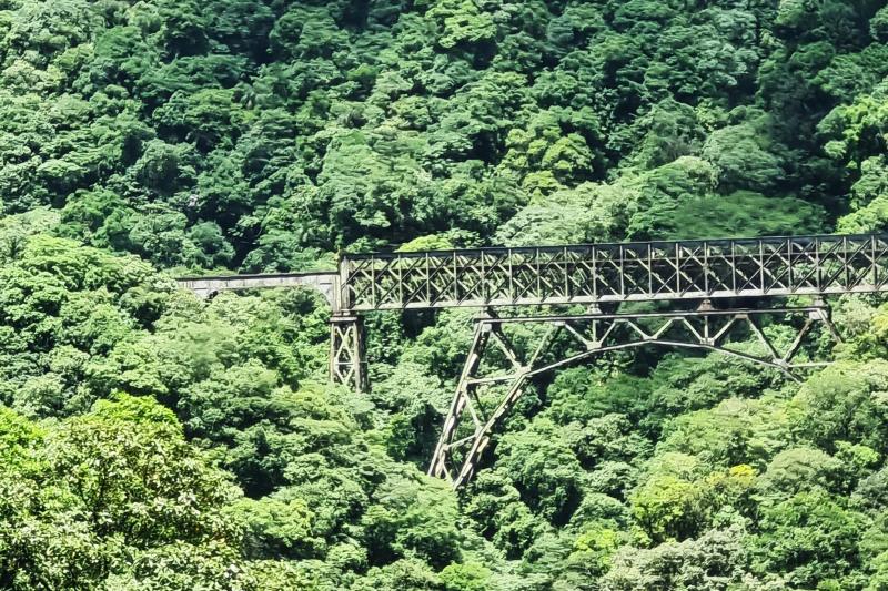 From Curitiba: Historic Morretes Train Tour & Barreado Lunch: Full Day