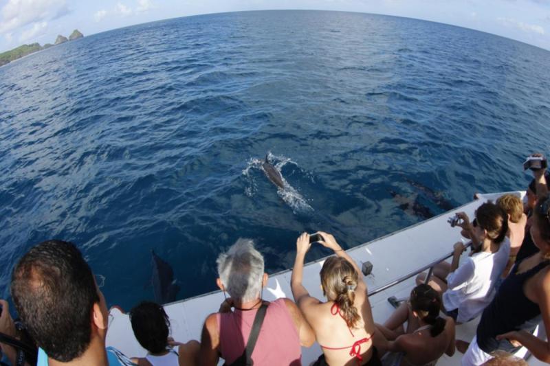 Fernando de Noronha: Boat Cruise & Sancho Bay Swimming Experience