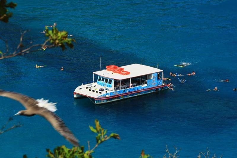 Fernando de Noronha: Boat Cruise & Sancho Bay Swimming Experience