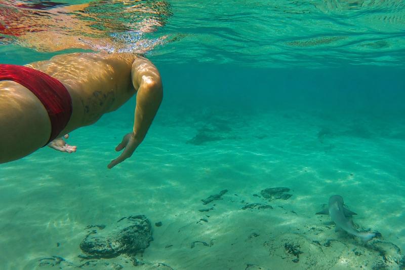 Fernando de Noronha: Full-Day 4x4 Island Discovery Adventure