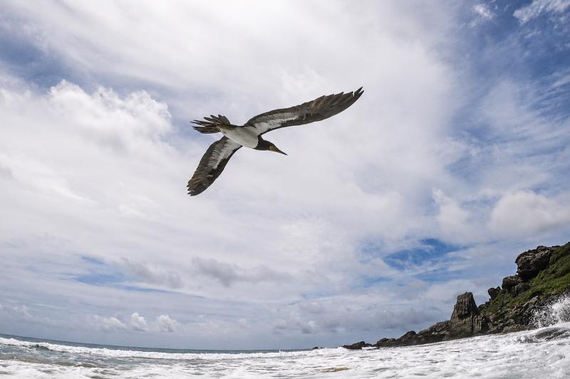 Fernando de Noronha: Full-Day 4x4 Island Discovery Adventure