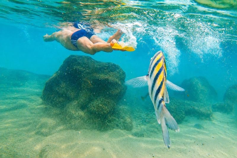 Fernando de Noronha: Full-Day 4x4 Island Discovery Adventure