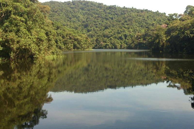 São Paulo: Cantareira Forest Hiking & Waterfalls Private Experience