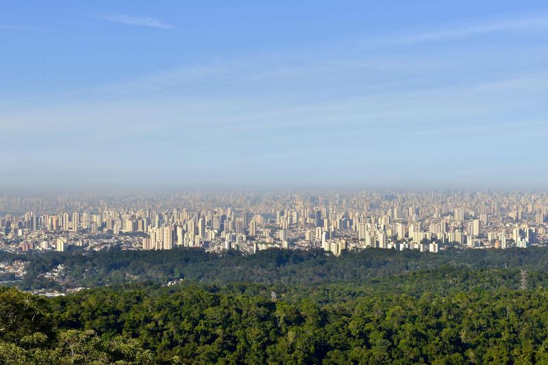 Come to see the largest urban forest in the world