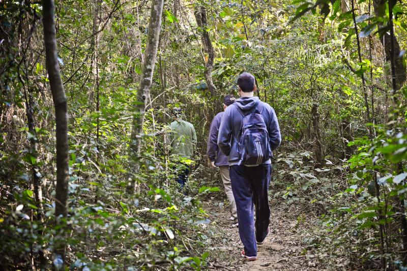 São Paulo: Cantareira Forest Hiking & Waterfalls Private Experience